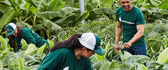 Grow Your Dream Garden Today