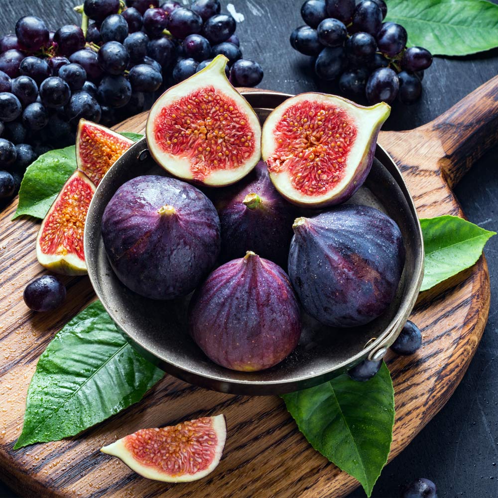 Black Mission Fig Tree - Image 3