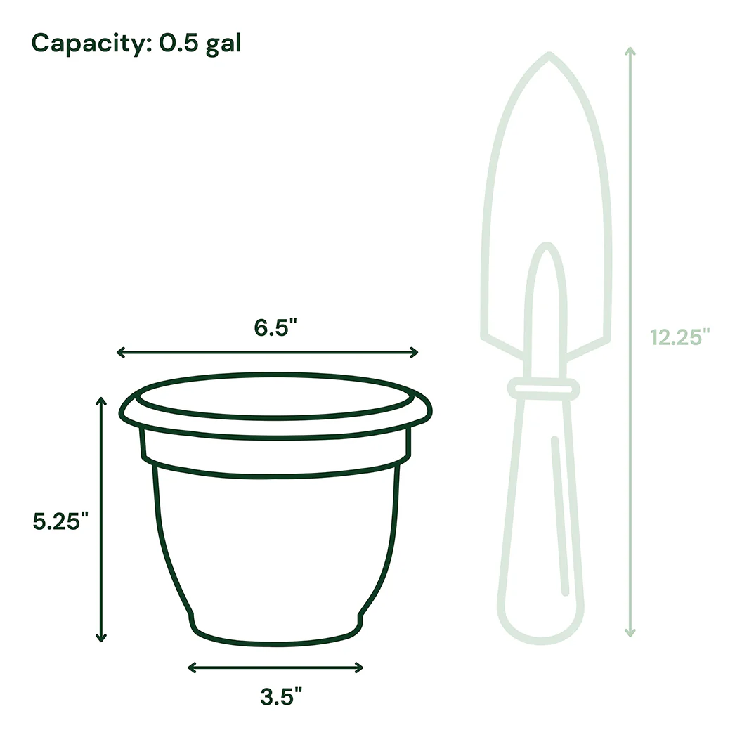Bloem Ariana Self-Watering Planter in Pebble Stone - Image 10