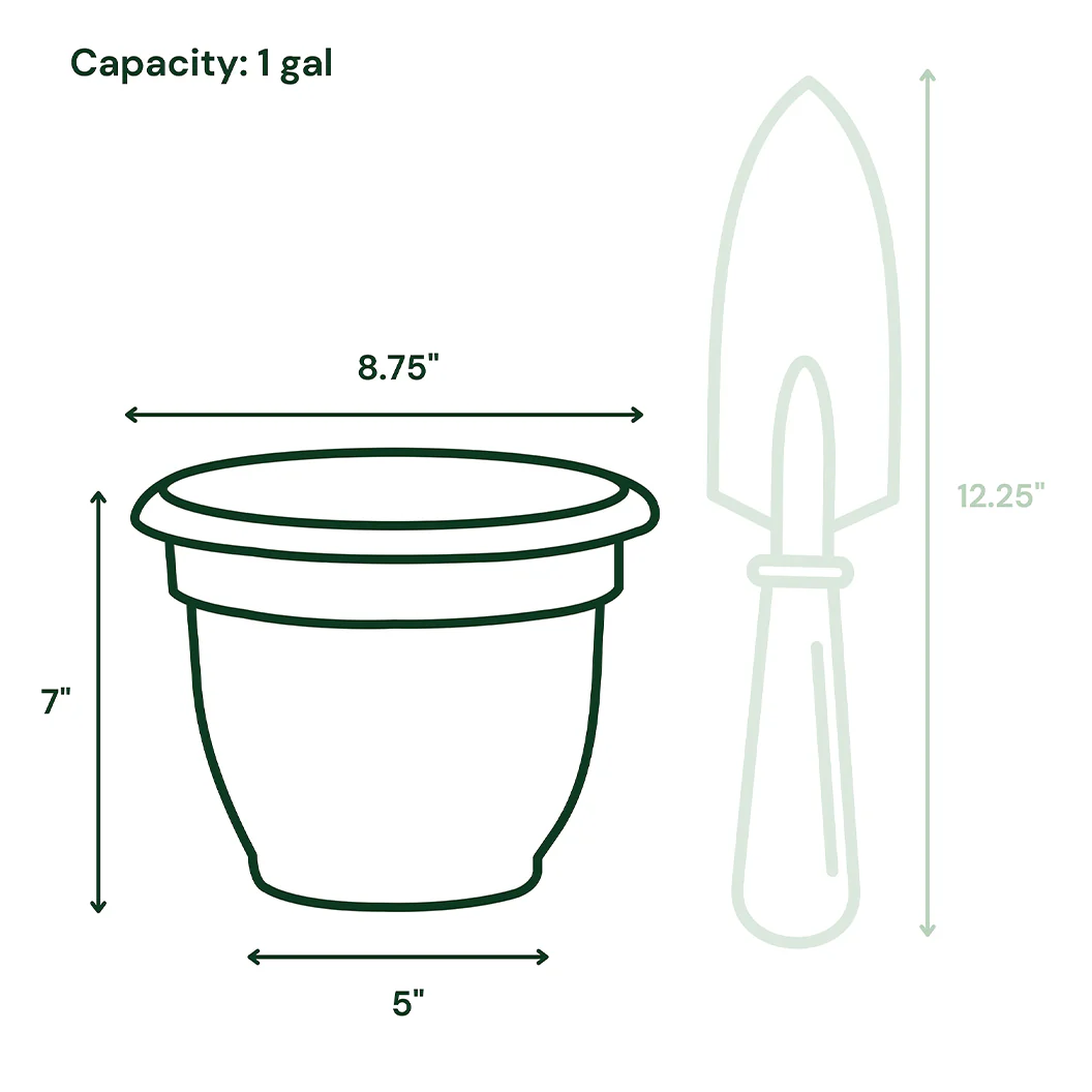 Bloem Ariana Self-Watering Planter in Pebble Stone - Image 7