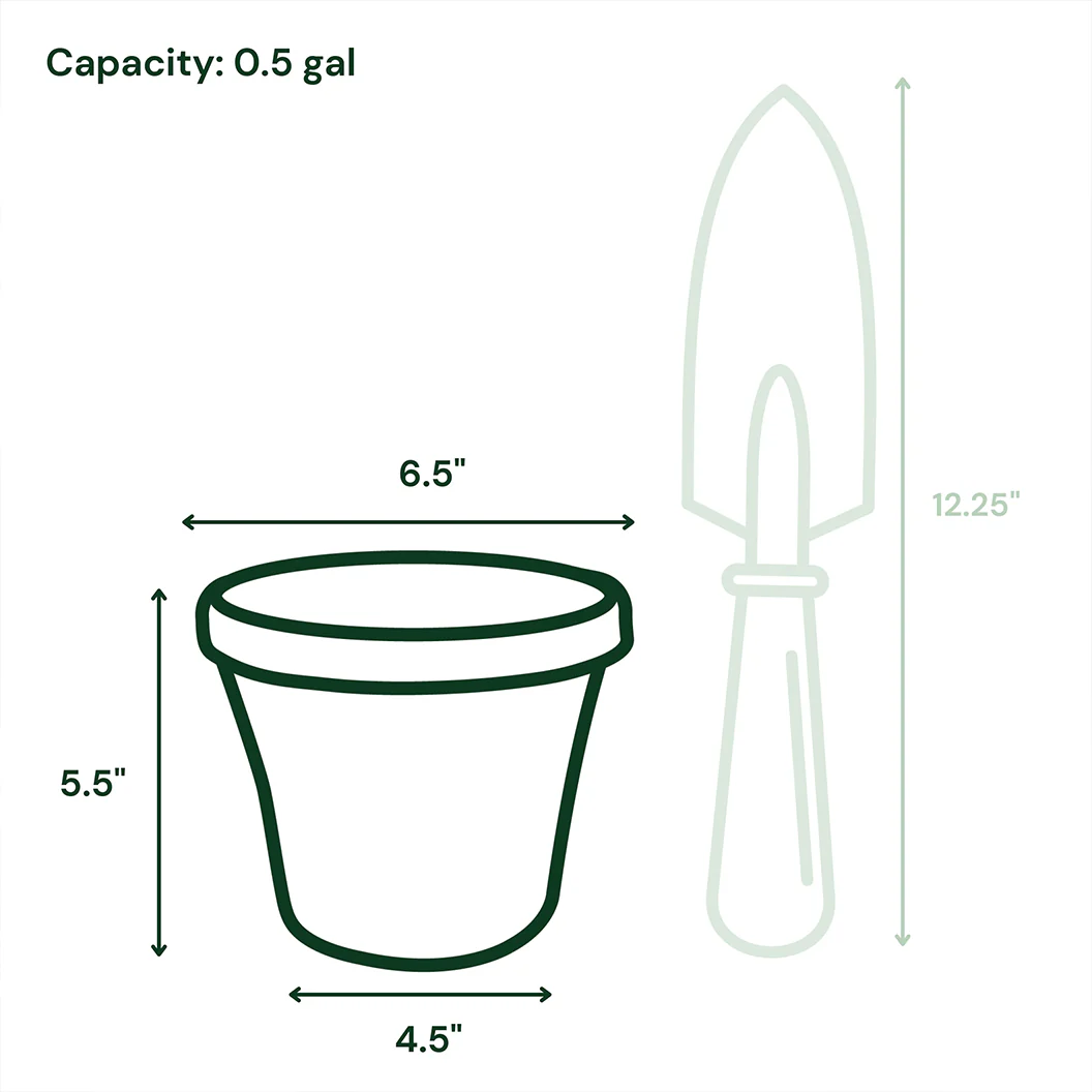 Bloem Terra Planter in Black - Image 10