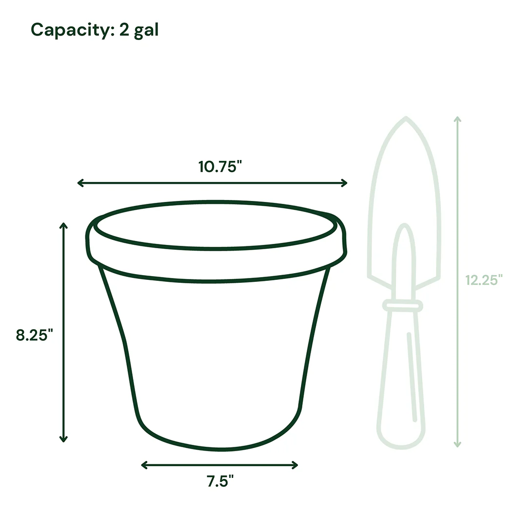 Bloem Terra Planter in Basil - Image 8