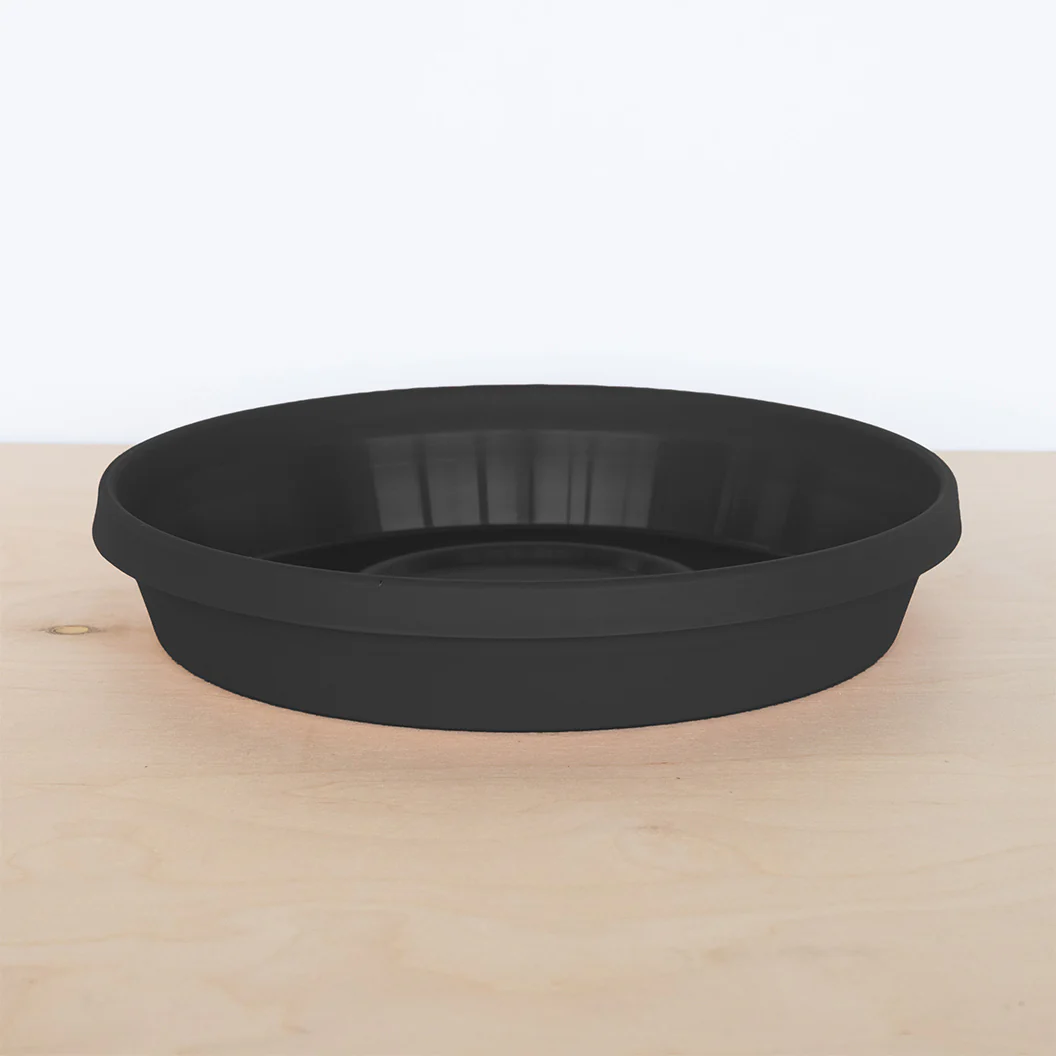 Bloem Terra Saucer in Black