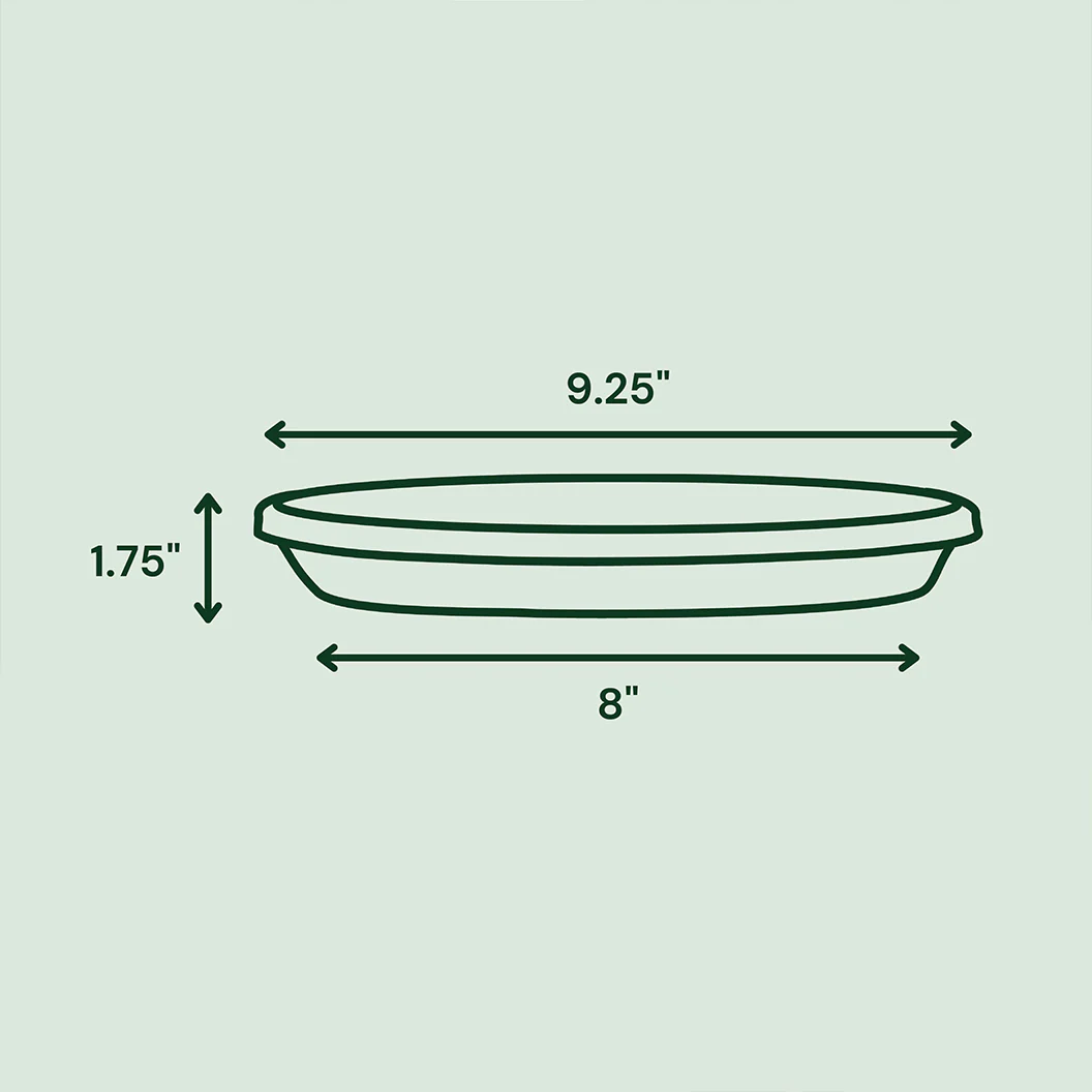 Bloem Terra Saucer in Black - Image 6