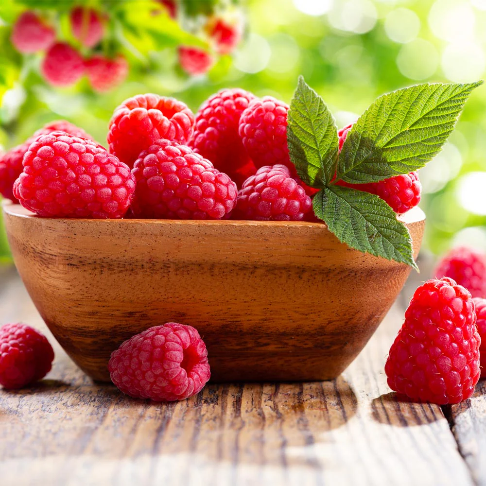 Caroline Raspberry Bush - Image 3