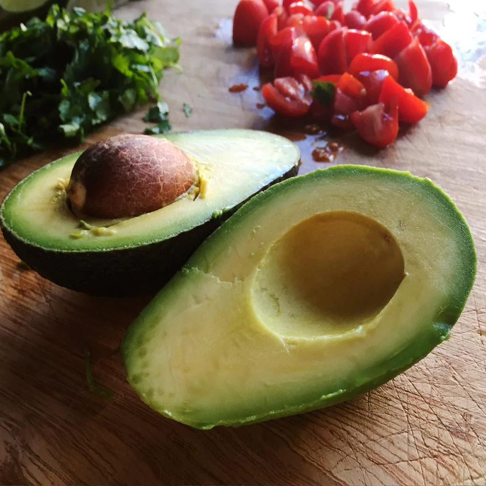 Cold Hardy Avocado Tree - Image 6