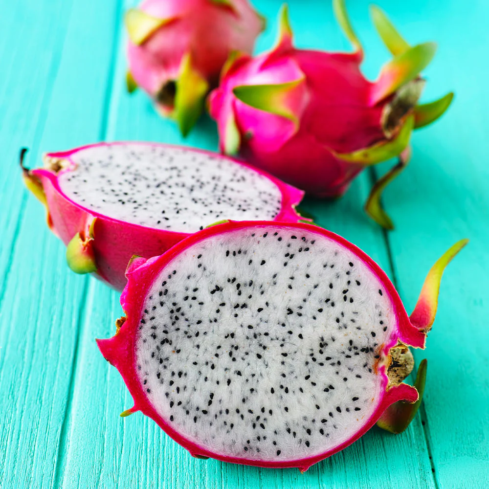 Dragon Fruit Cactus Plant - USDA Organic - Image 5