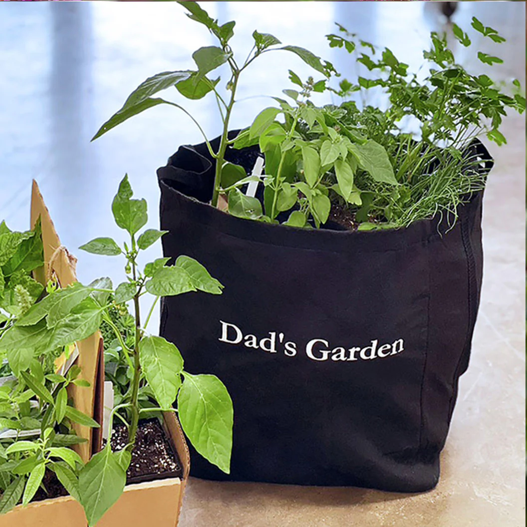 Gardenuity® Dad's Seasonal Herb Patio Kit - Image 2