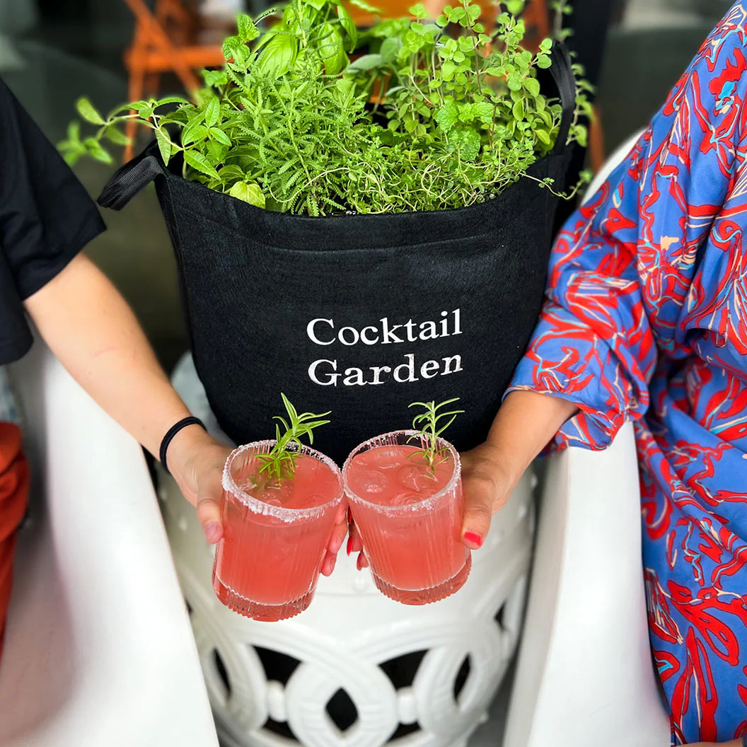 Gardenuity® Patio Cocktail Herb Garden Kit - Image 2
