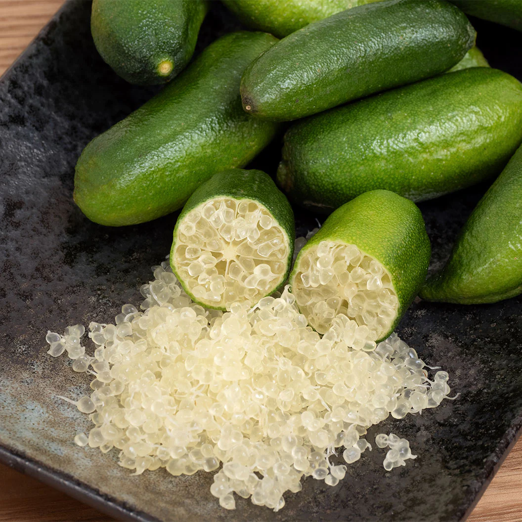 Giant Finger Lime Tree - Image 2