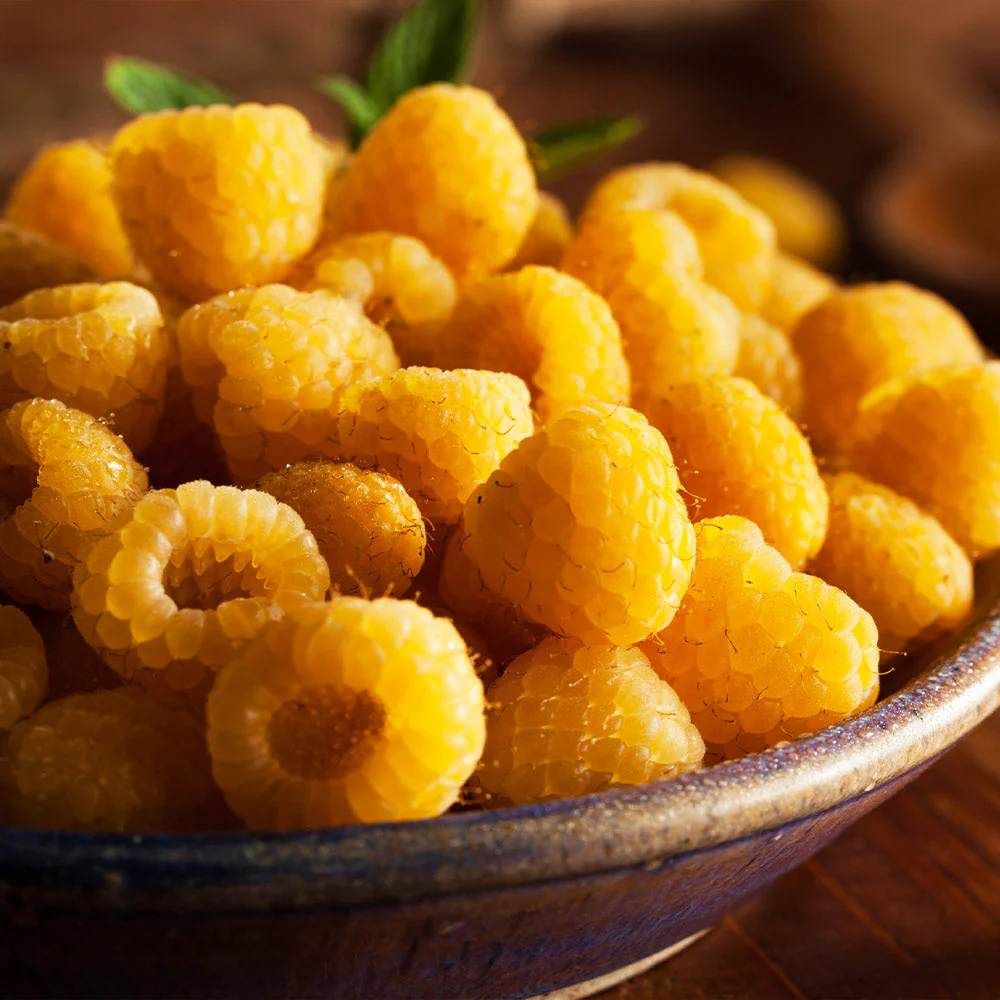 Golden Raspberry California - Image 3