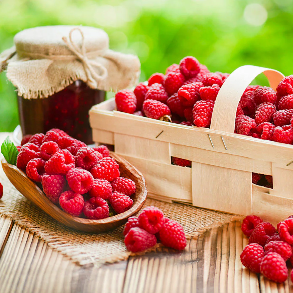 Heritage Everbearing Raspberry Bush - USDA Organic - Image 4