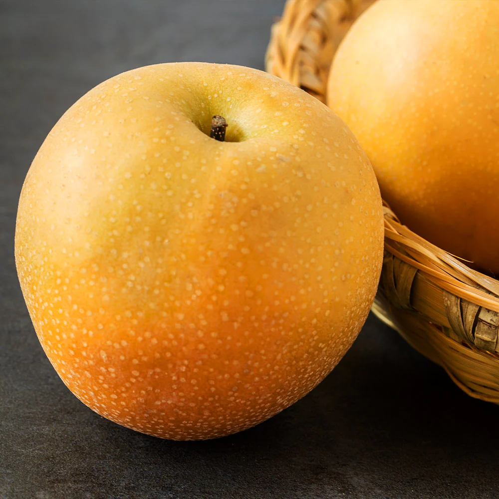 Hosui Asian Pear Tree - Image 5