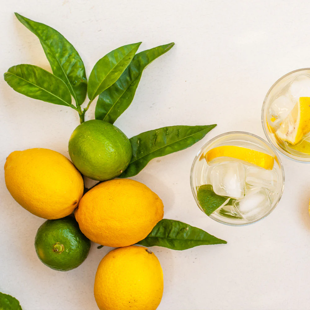 Lemon-Lime Citrus Tree - Image 3