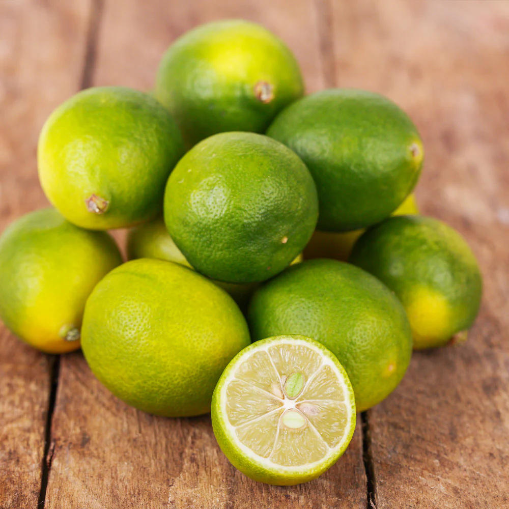 Limequat Citrus Tree - Image 4