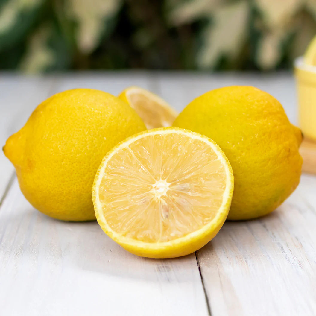 Lisbon Lemon Tree