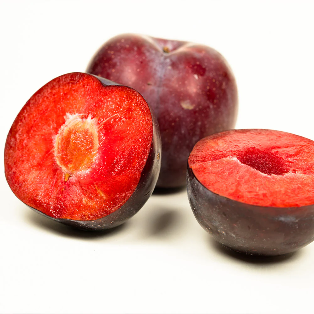 Methley Plum Tree - Image 4