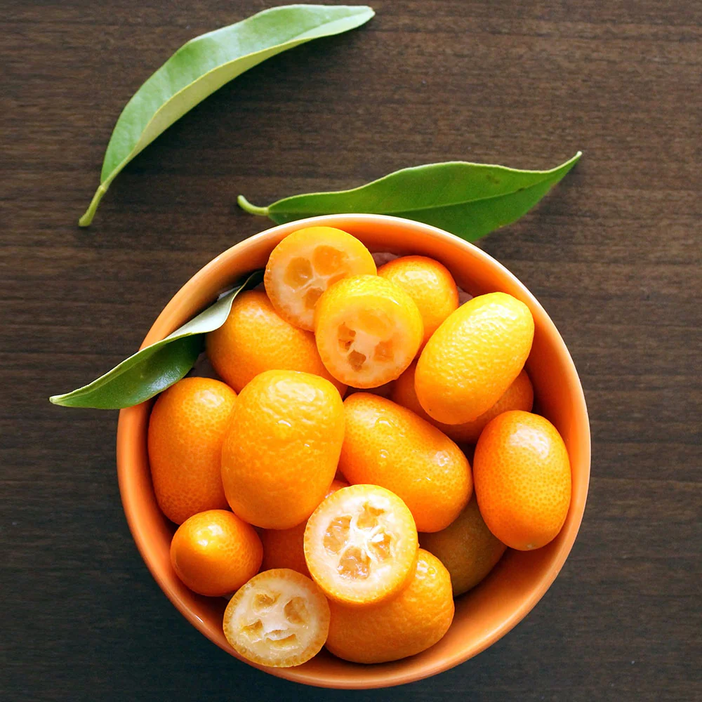 Nagami Kumquat Tree - Image 4