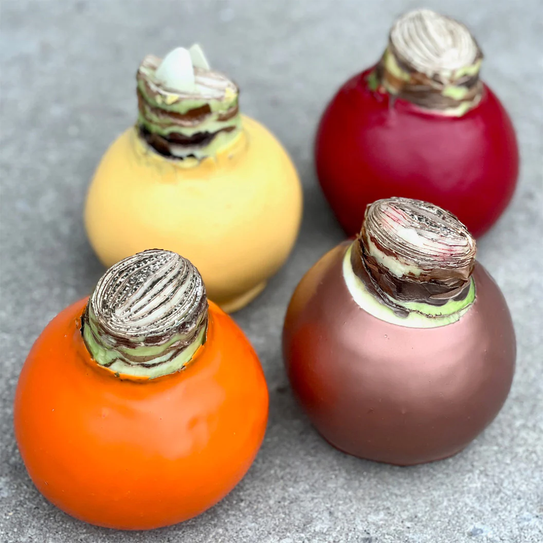 Orange Wax-Dipped Amaryllis Bulb with Sovereign Blooms - Image 4