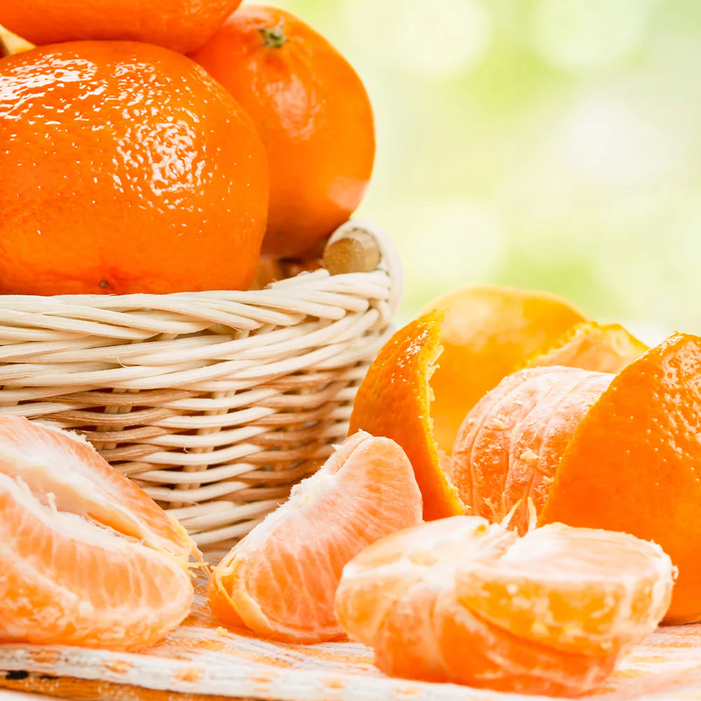 Owari Satsuma Mandarin Tree - Image 5