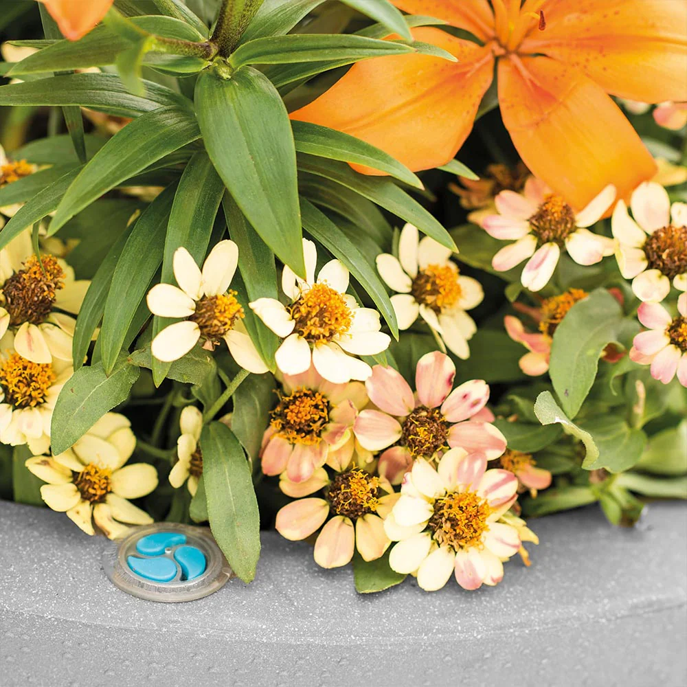 Crescent Garden Pinch Planter - Image 5