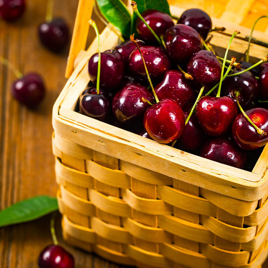 Romeo and Juliet™ Dwarf Cherry Bush - Image 2