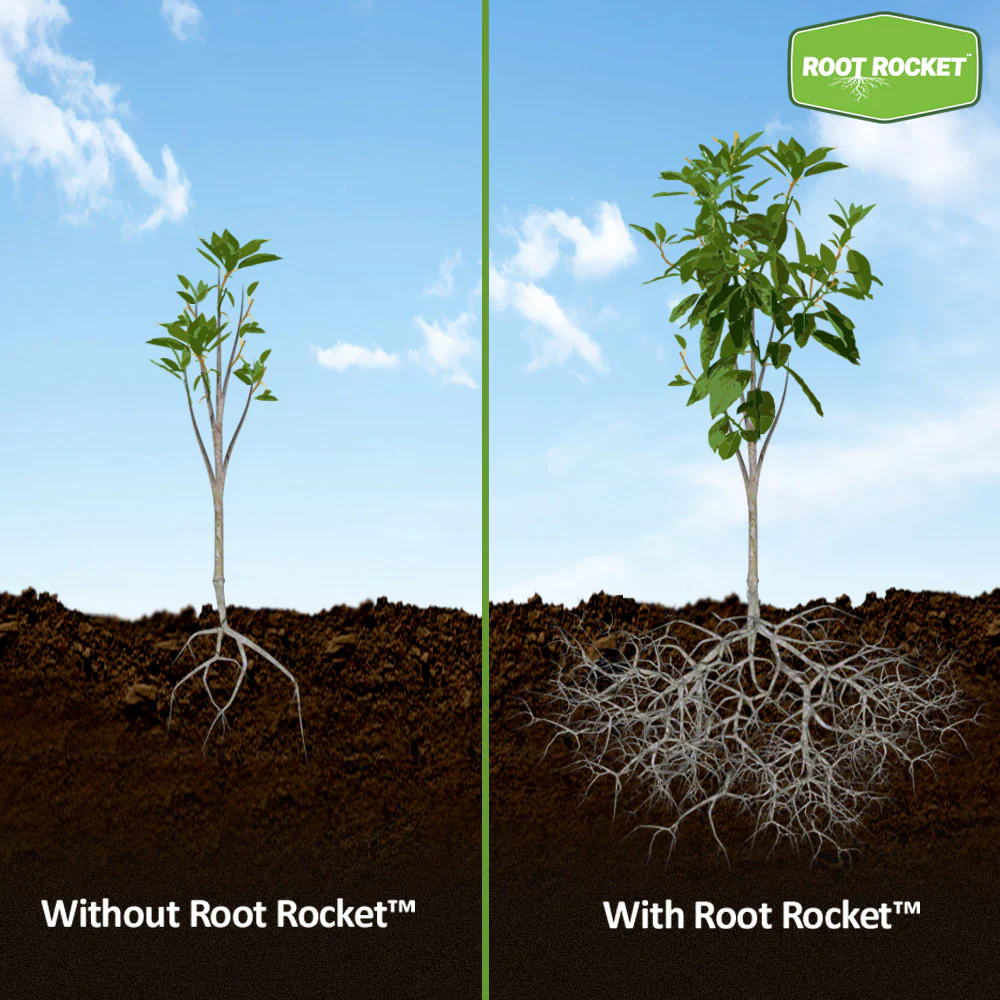 Root Rocket® Berries & Fruits Fertilizer - Image 4