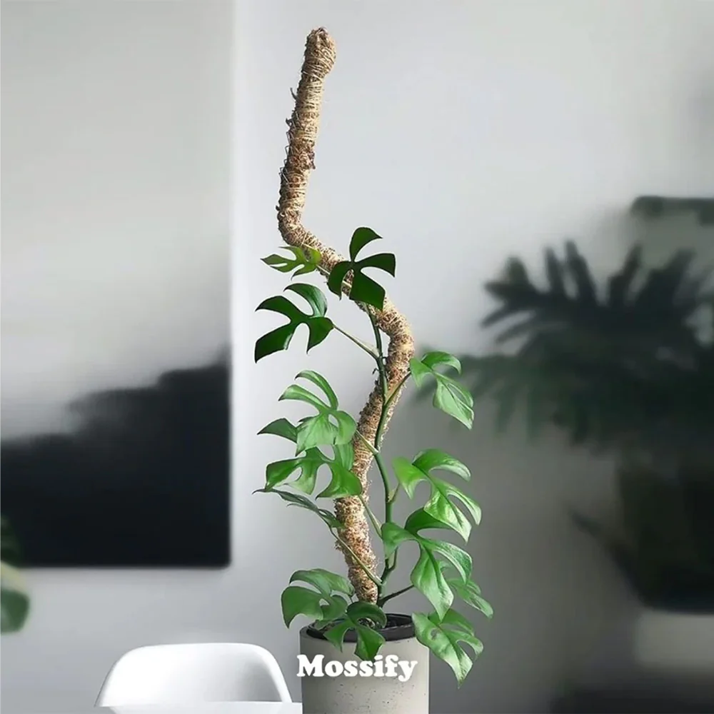 Mossify The Original Bendable Moss Pole⢠- Image 3