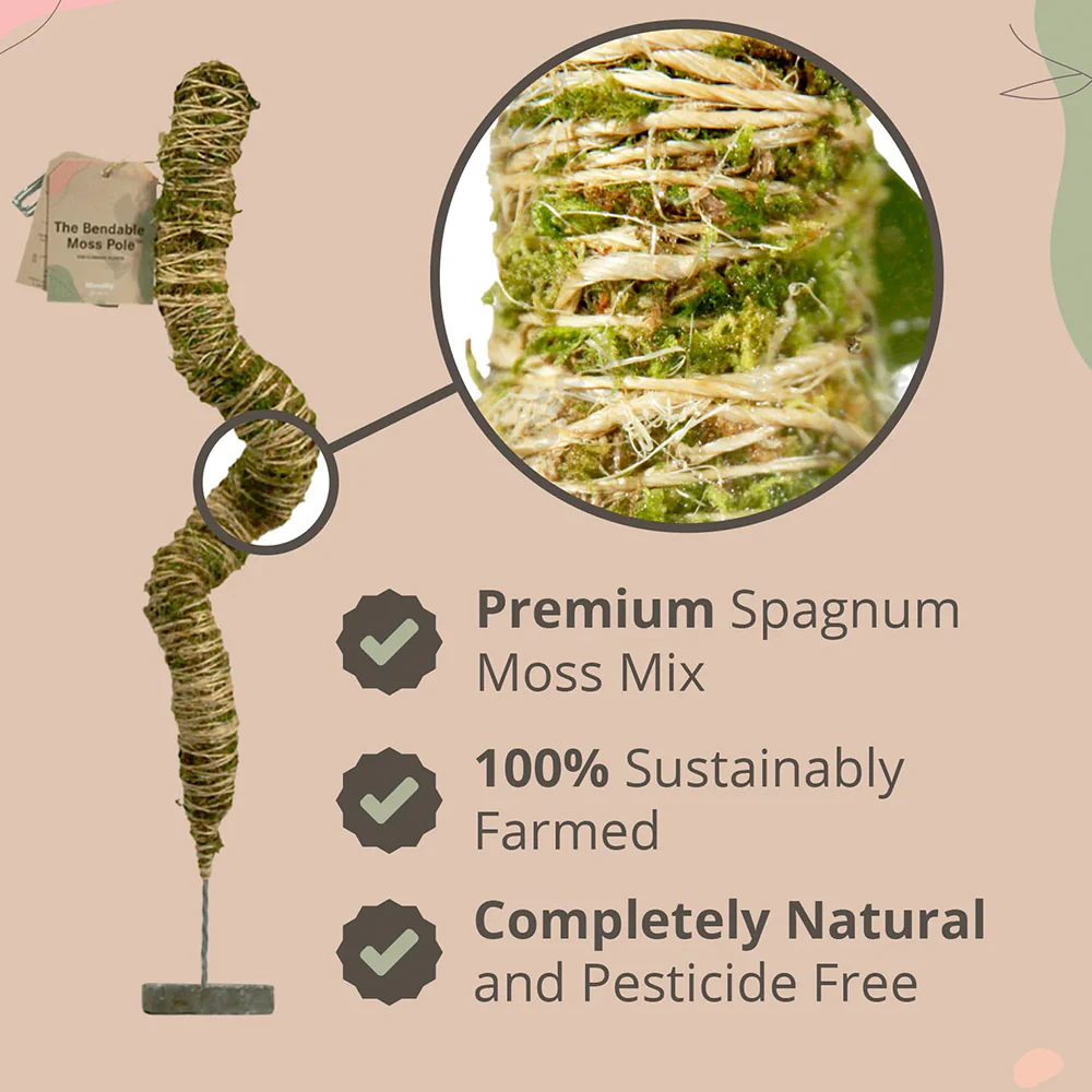 Mossify The Original Bendable Moss Pole⢠- Image 5