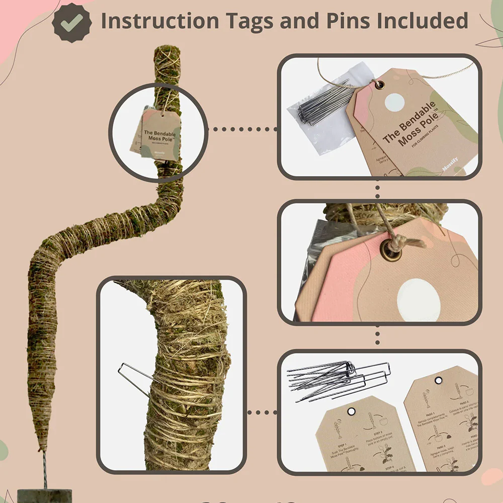 Mossify The Original Bendable Moss Pole⢠- Image 6