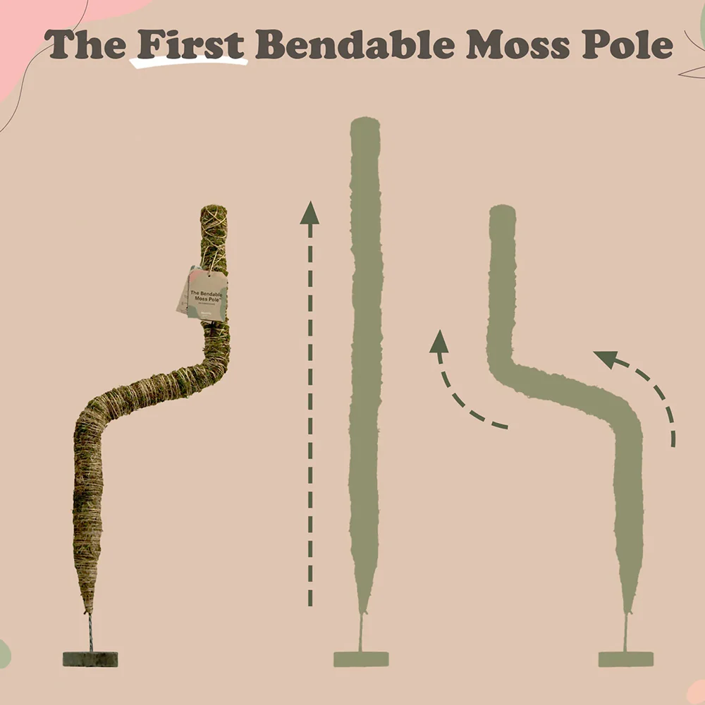 Mossify The Original Bendable Moss Pole⢠- Image 7