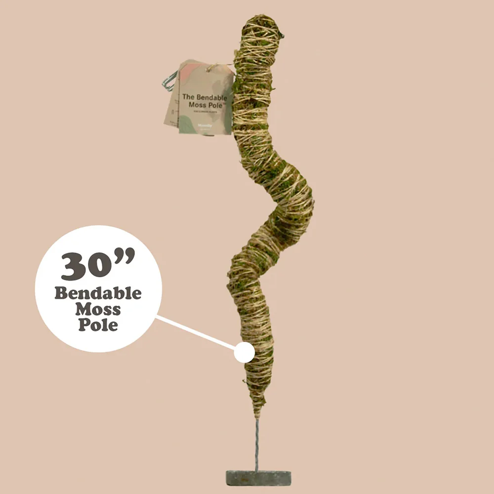 Mossify The Original Bendable Moss Pole⢠- Image 8