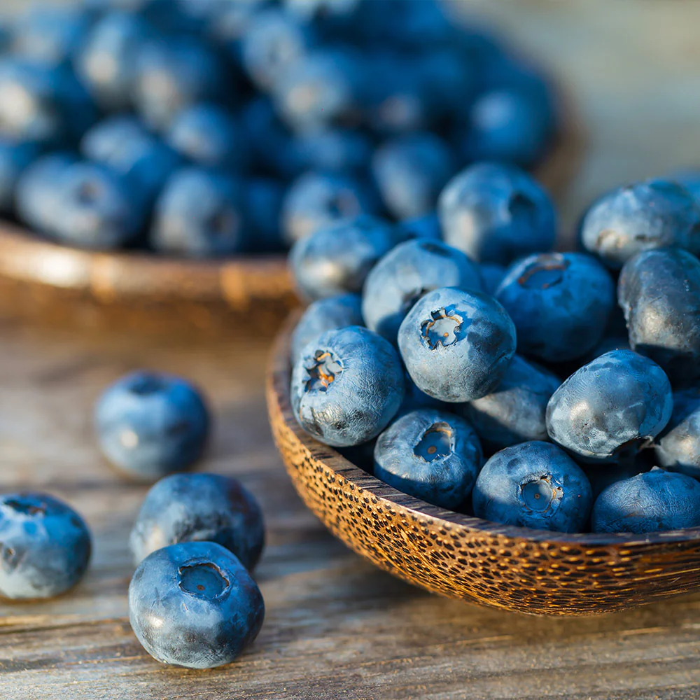 Top Hat Blueberry Bush - Image 4