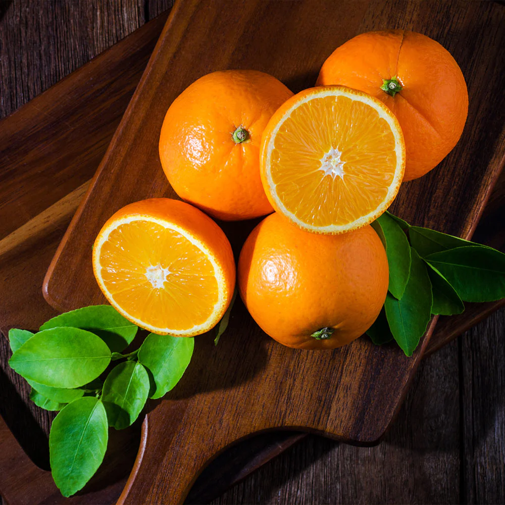 Valencia Orange Bush - Image 5