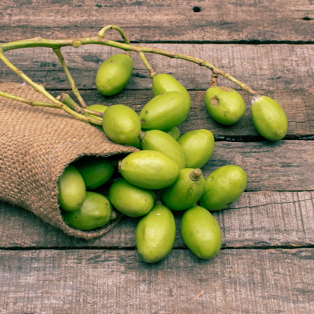 Soleil Yellow Hog Plum Tree - Image 3