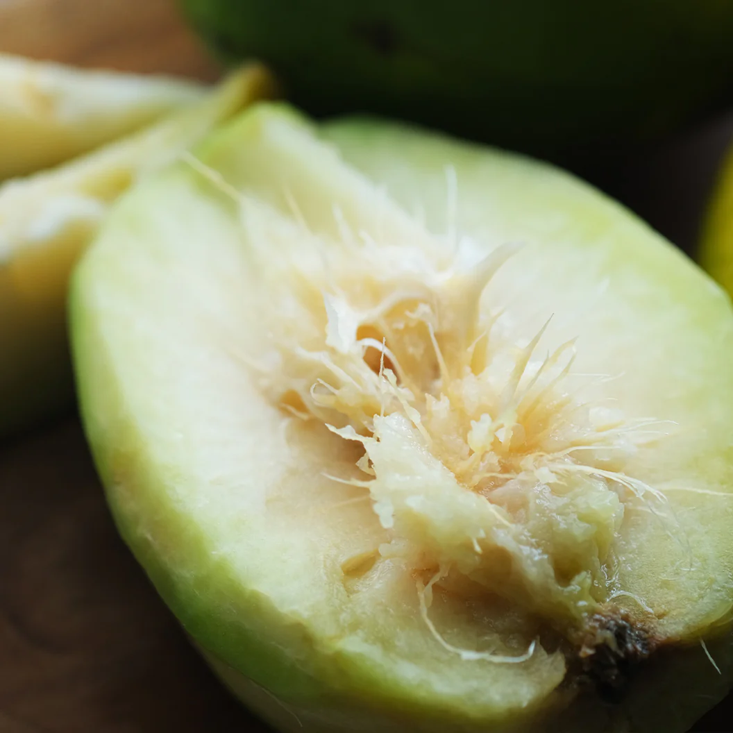 Soleil Yellow Hog Plum Tree - Image 6
